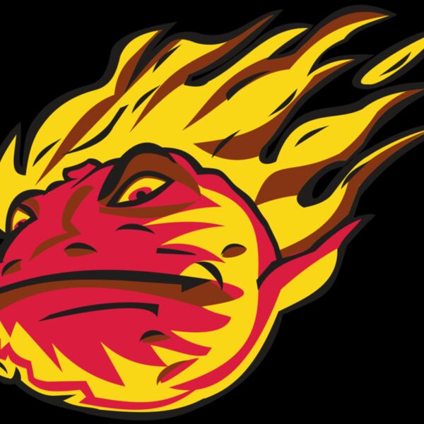 COMET HD0501 RQC Thumbnail