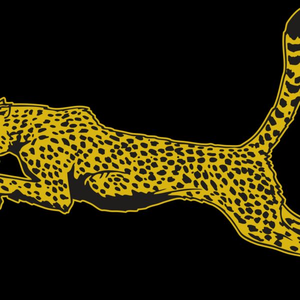 AR CHEETAH 10 RC Thumbnail