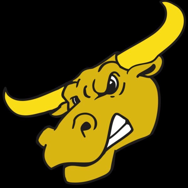 AR BULL 29 RC Thumbnail