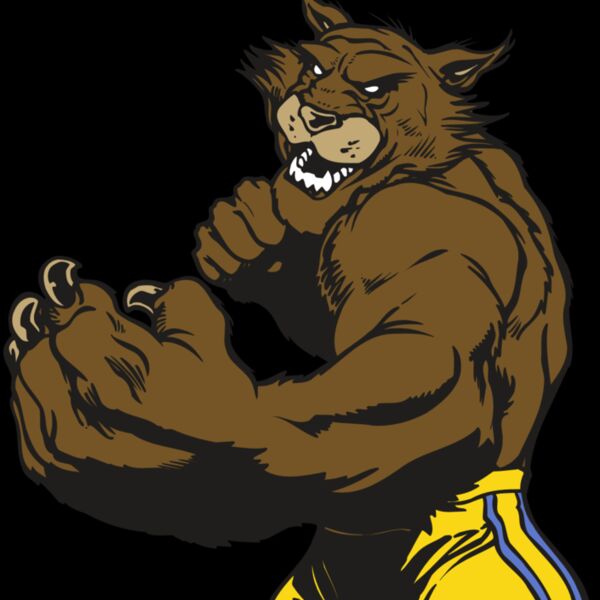 AR WILDCAT 48 RC Thumbnail