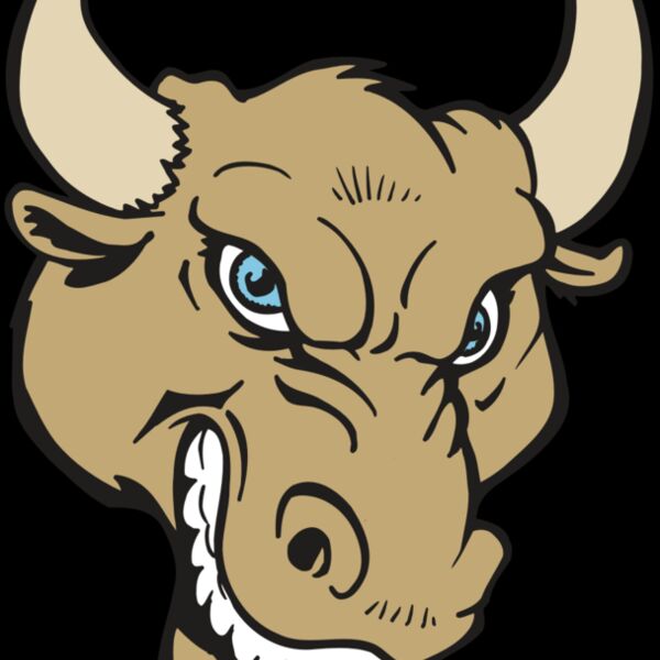 AR5 BULL 13 RQC Thumbnail