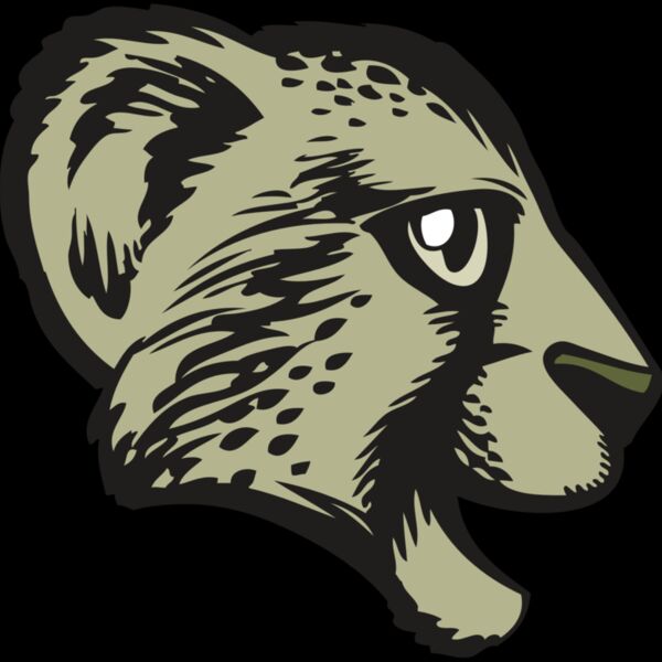 BAW CHEETAH 17 RC Thumbnail