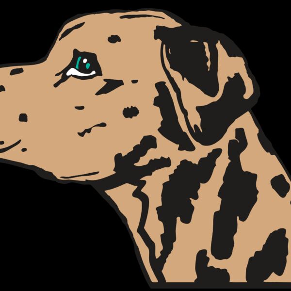 AR2 OTHER 03 RQC Thumbnail