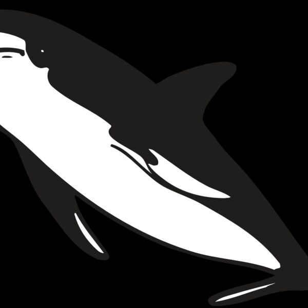 AR DOLPIN 13 RC Thumbnail