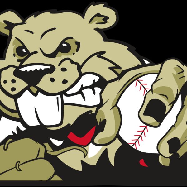 AR4 BEAVER 06 RQC Thumbnail