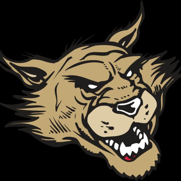 AR WILDCAT 39 RC Thumbnail