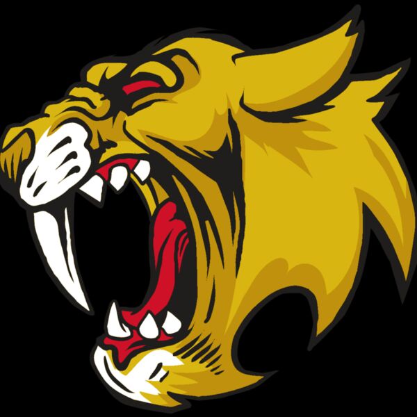 AR30 SABER 04 RQC Thumbnail