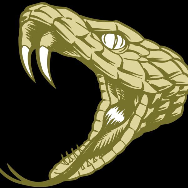 BAW SNAKE 11 RC Thumbnail