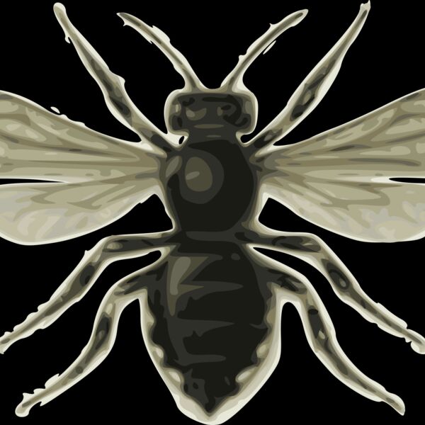 jbruce bee  M lecle ponctu e  Thumbnail