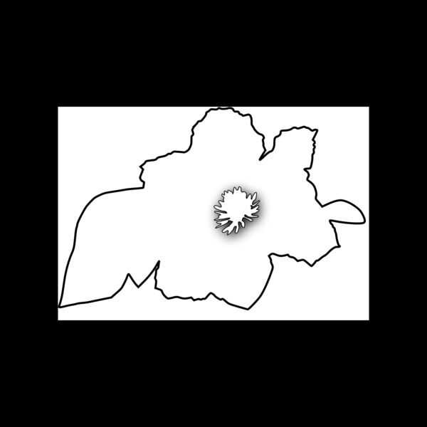 jimmiet Flower1 Thumbnail