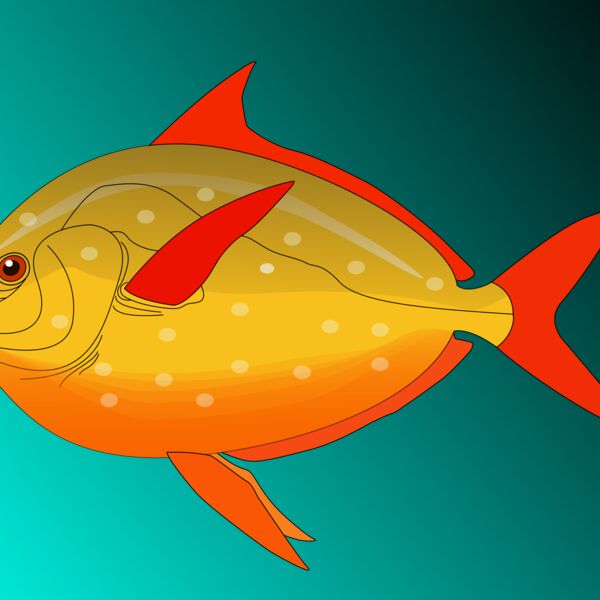 Machovka Fish Thumbnail