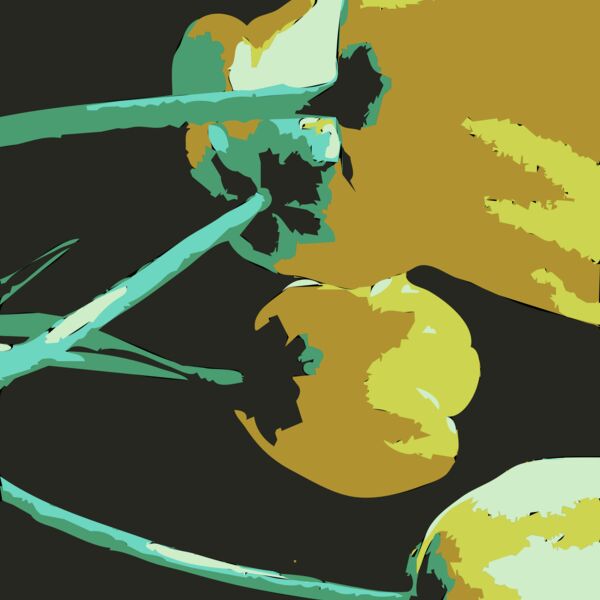 Original Aiflowers 471 Thumbnail