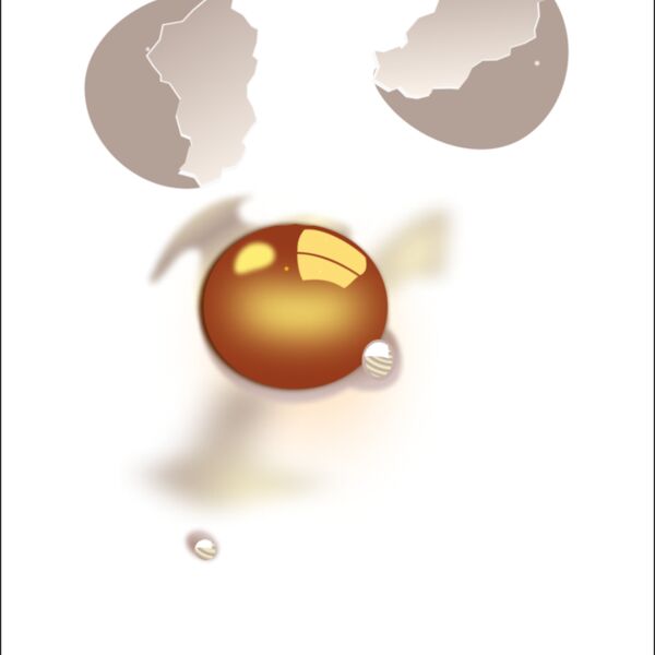 tomas arad egg  uncooked Thumbnail