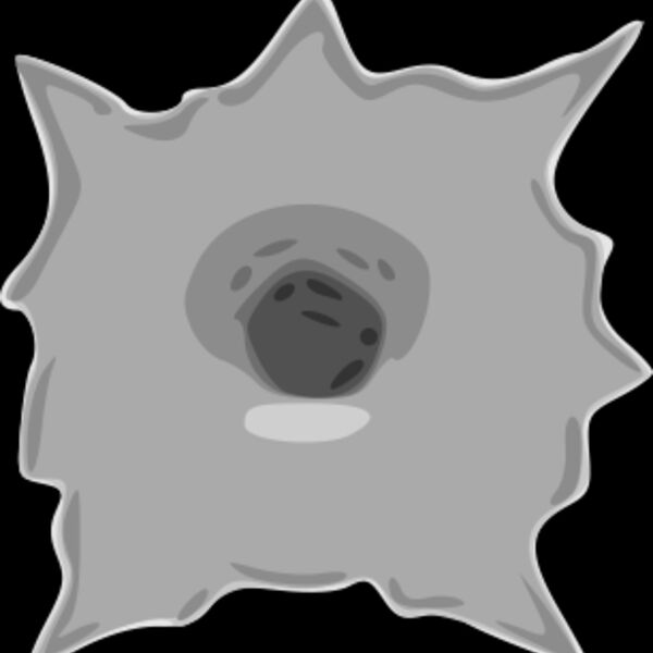 bullet hole linda kim z Thumbnail