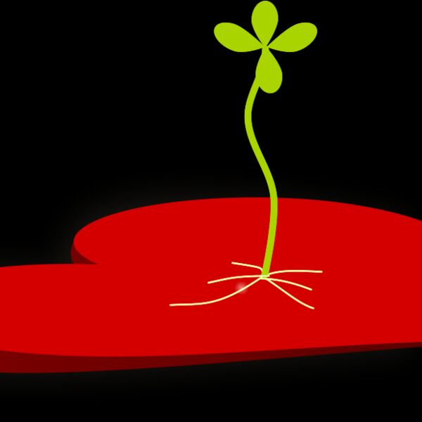 Hearticulture Thumbnail