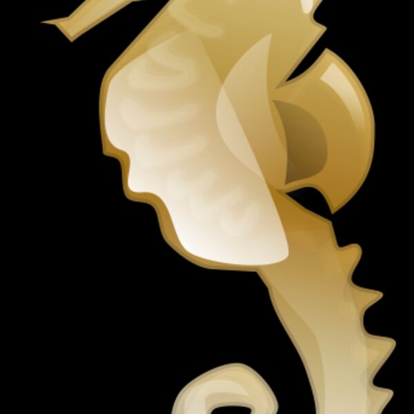 Anonymous Seahorse Thumbnail