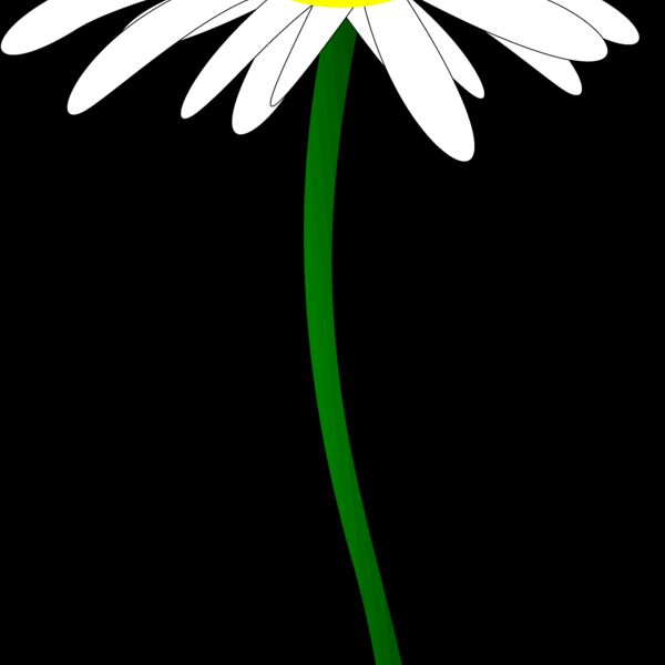 1343590428  2  Thumbnail