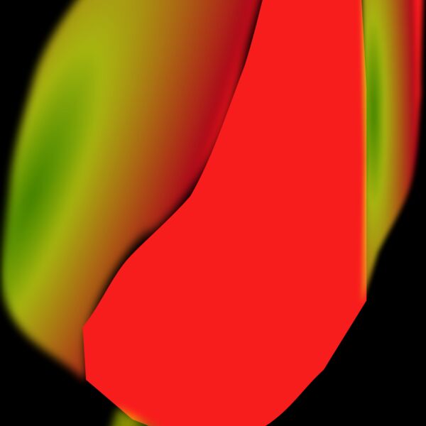 larsen Tulip Flower Thumbnail