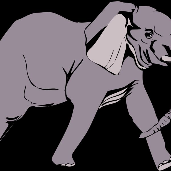 Anonymous Architetto    Elefante in corsa  2  Thumbnail