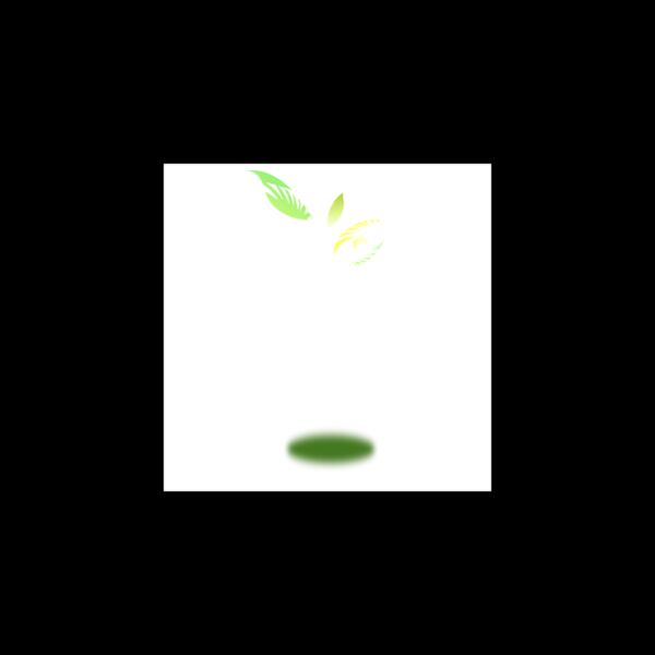 1334869889  2  Thumbnail