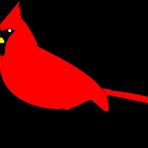 RobGTX Cardinal remix 2 plain Thumbnail