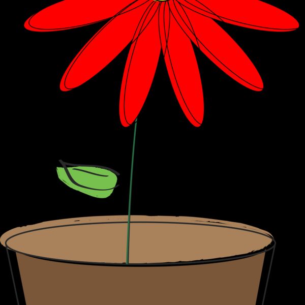 1287428341  2  Thumbnail