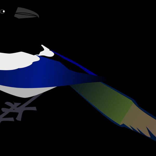 zeimusu Magpie Thumbnail