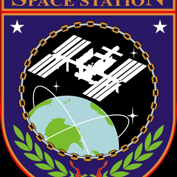 ISS Insignia Thumbnail