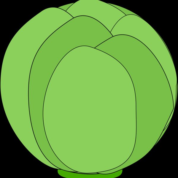 Machovka cabbage Thumbnail