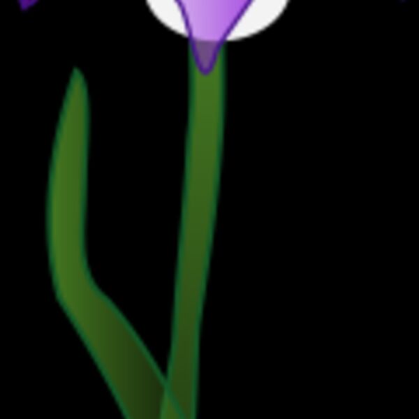 missiridia Iris Thumbnail