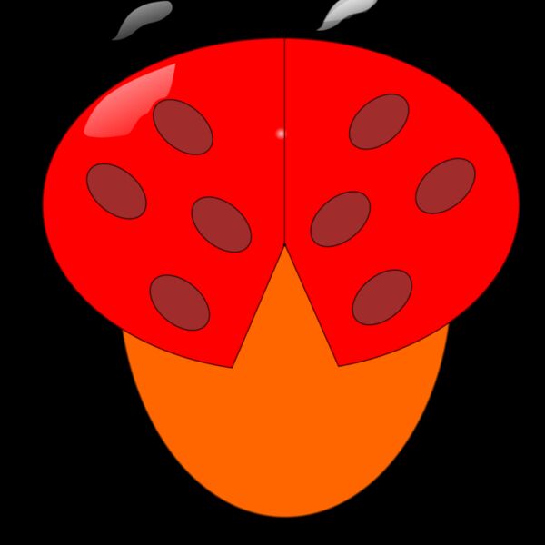 ladybeetle Thumbnail