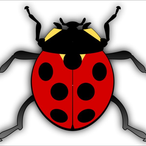 jilagan Ladybug Thumbnail