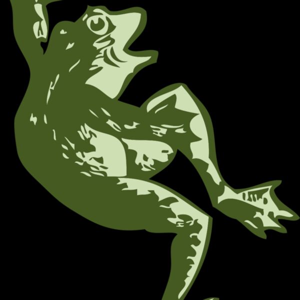 johnny automatic dancing frog Thumbnail