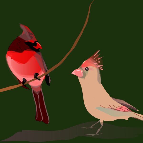 Reedabadeeda It Must Be Love  Thumbnail