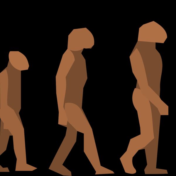 Anonymous evolution steps Thumbnail