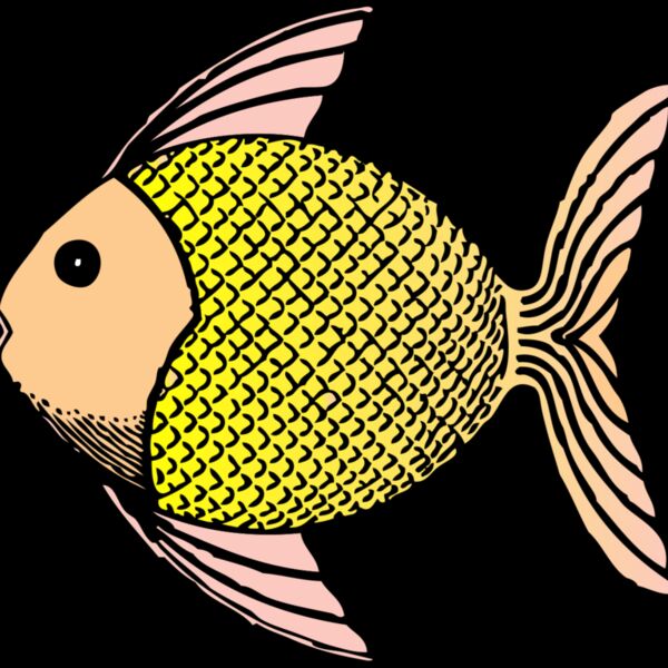 johnny automatic tropical fish Thumbnail