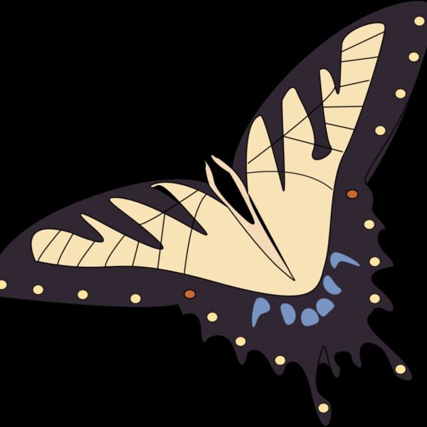 papillon de plus p Thumbnail