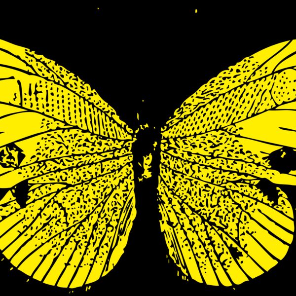 johnny automatic butterfly 3 Thumbnail