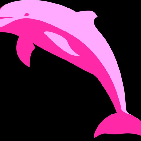 ha1flosse delphin delfin dolphin 1 Thumbnail