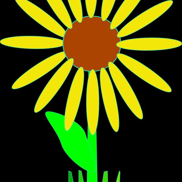 Machovka flower 1 Thumbnail