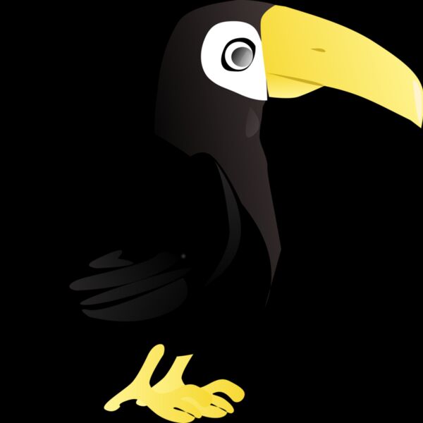 toucan   simple Thumbnail