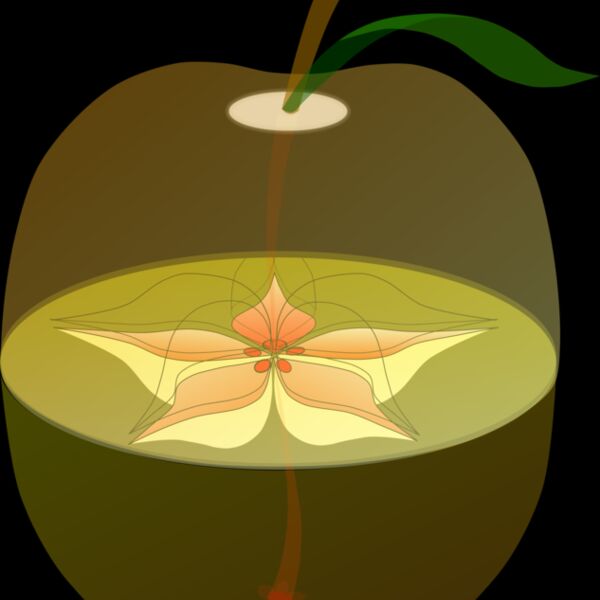 mediemil AppleAnatomy Thumbnail