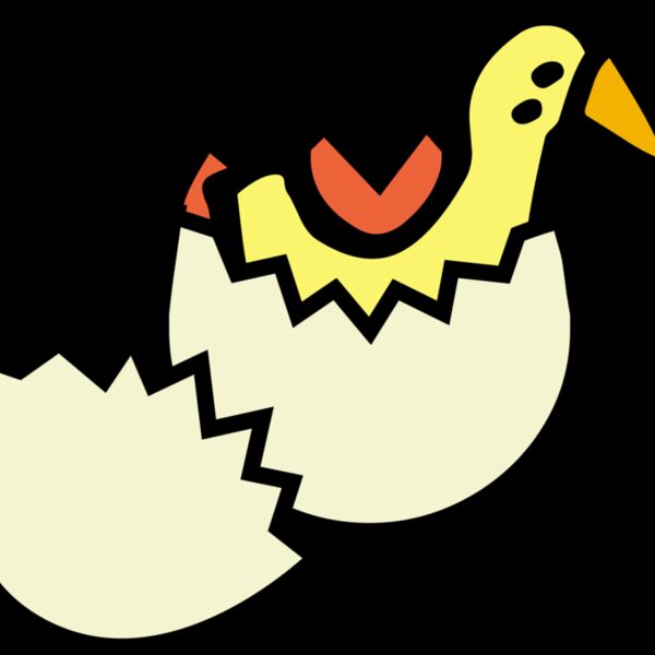 mcol chick from egg Thumbnail