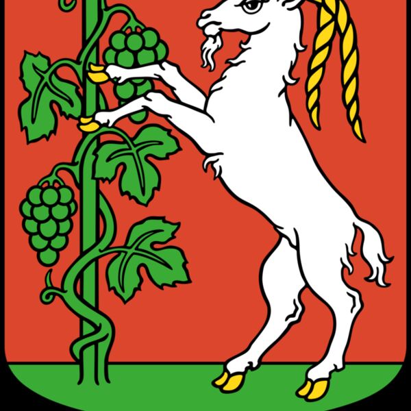 warszawianka Lublin   coat of arms Thumbnail