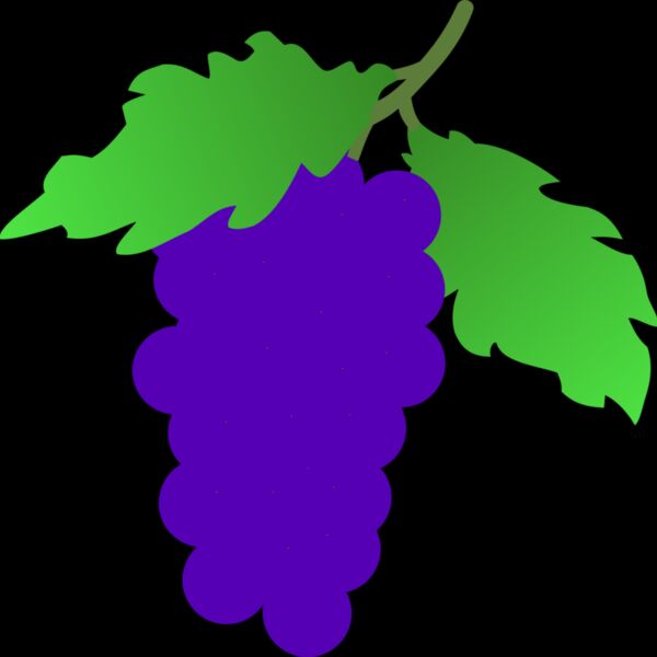 stuuf grapes Thumbnail