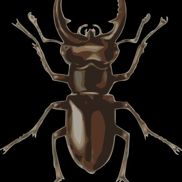 jbruce stag beetle  lucanus elephas  Thumbnail