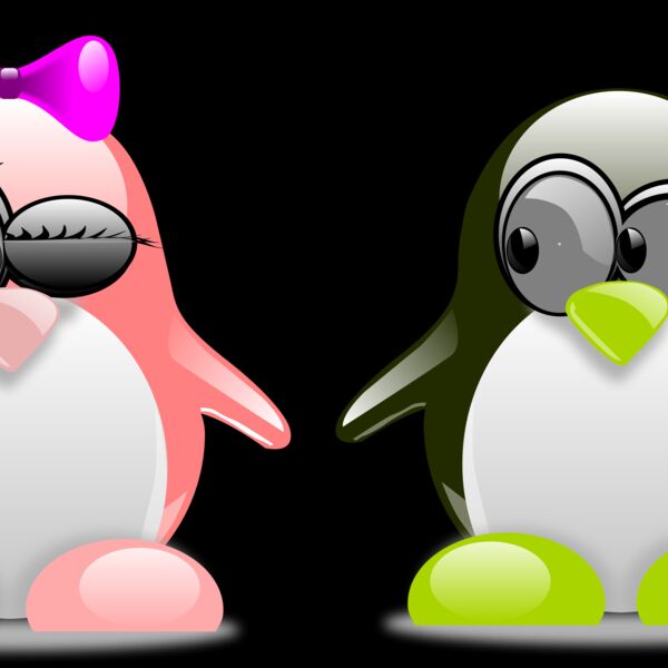 penguin  6  Thumbnail