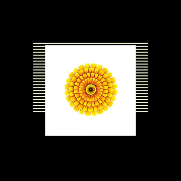 1299011329  2  Thumbnail