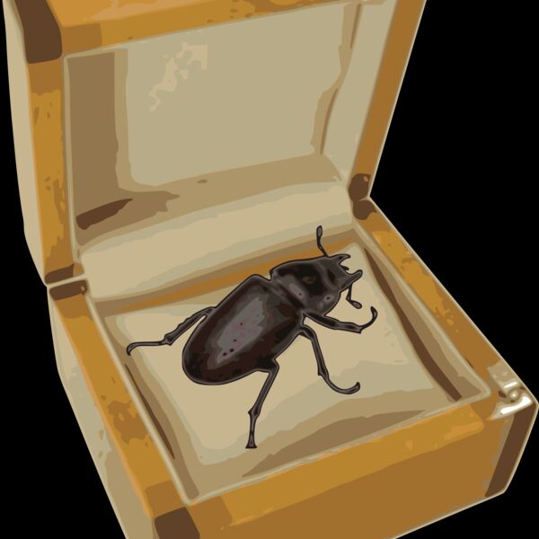 beetle in a box  2  Thumbnail