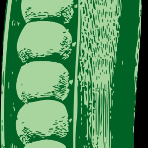 johnny automatic peas Thumbnail